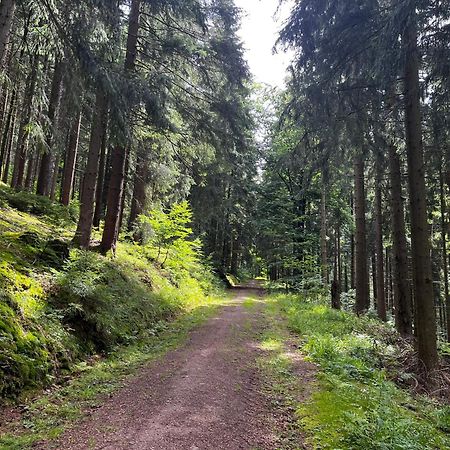 Gaestehaus Im Erzgebirge Zwönitz Dış mekan fotoğraf