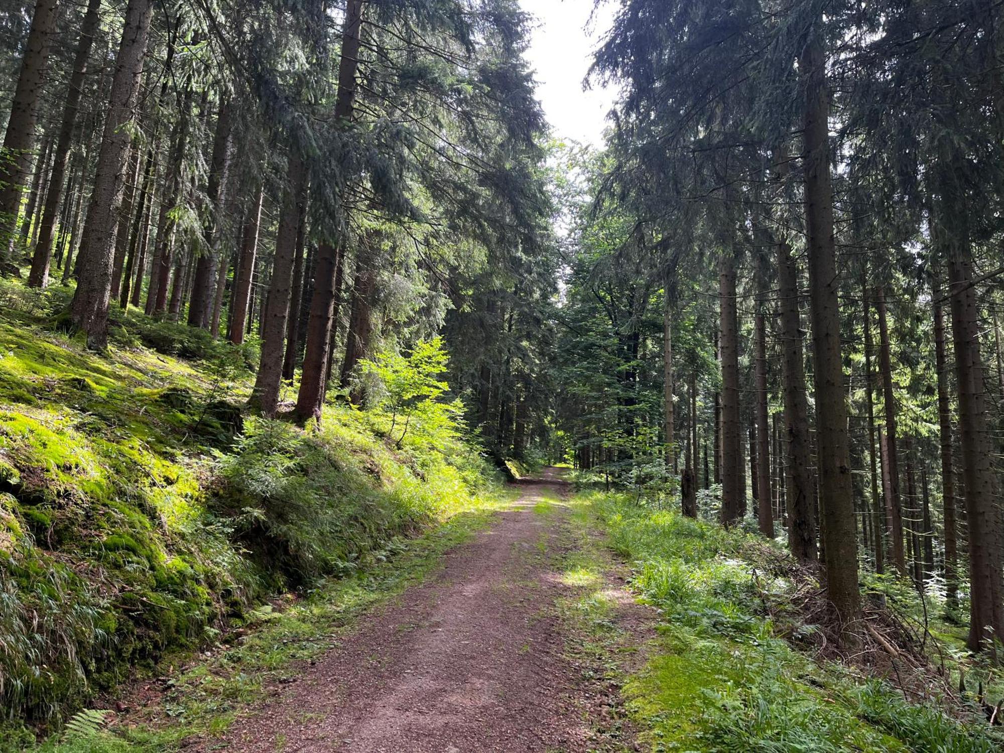 Gaestehaus Im Erzgebirge Zwönitz Dış mekan fotoğraf